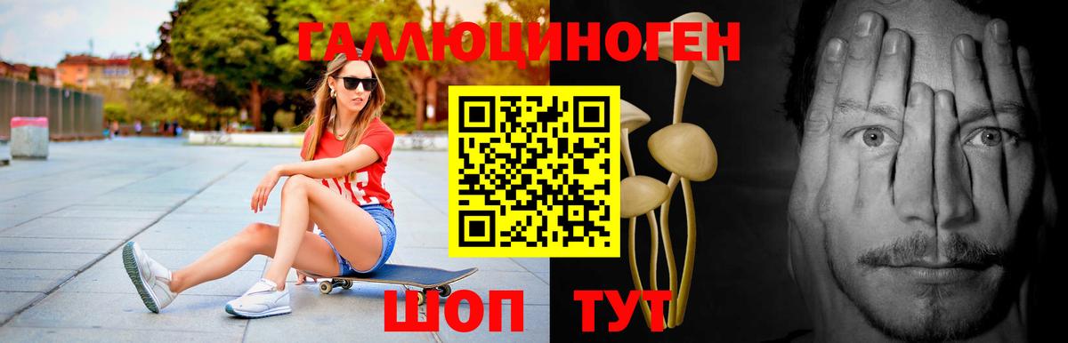 Галлюциногенные грибы прущие грибы Кингисепп